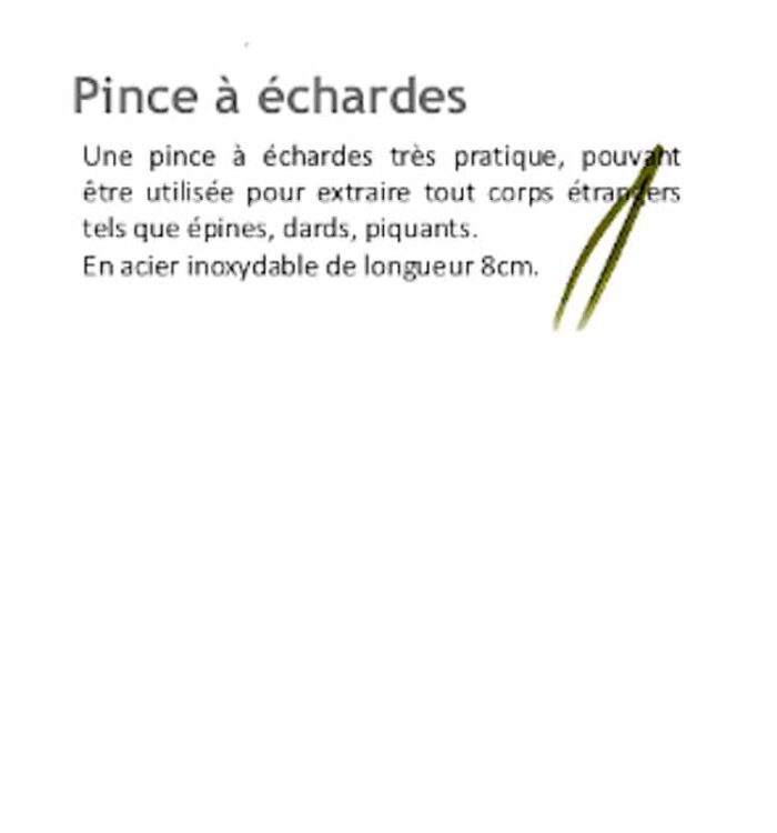 SPARADRAPS & ACCESSOIRES – Image 12