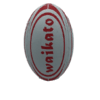 BALLON D'ENTRAINEMENTS WAIKATO – Image 7