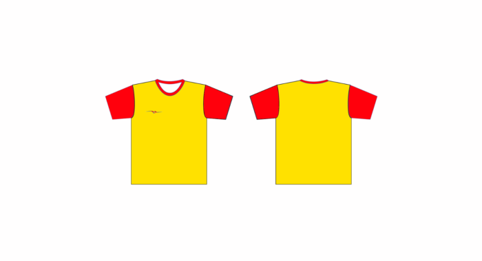 MAILLOT DE FOOTBALL UNI – Image 28
