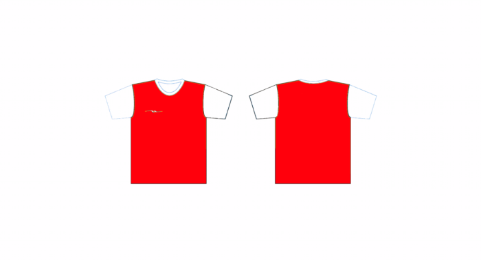 MAILLOT DE FOOTBALL UNI – Image 19